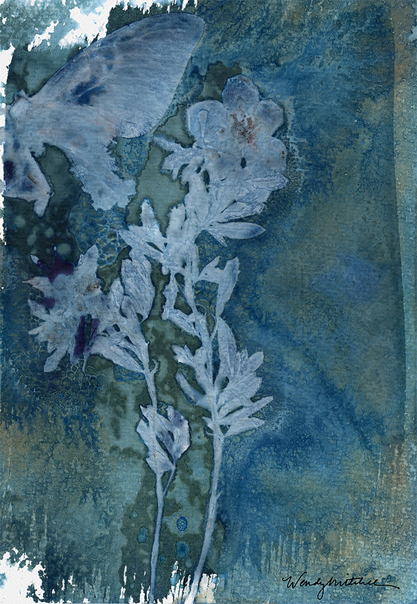 Butterfly & Tundra Rose Art Print
