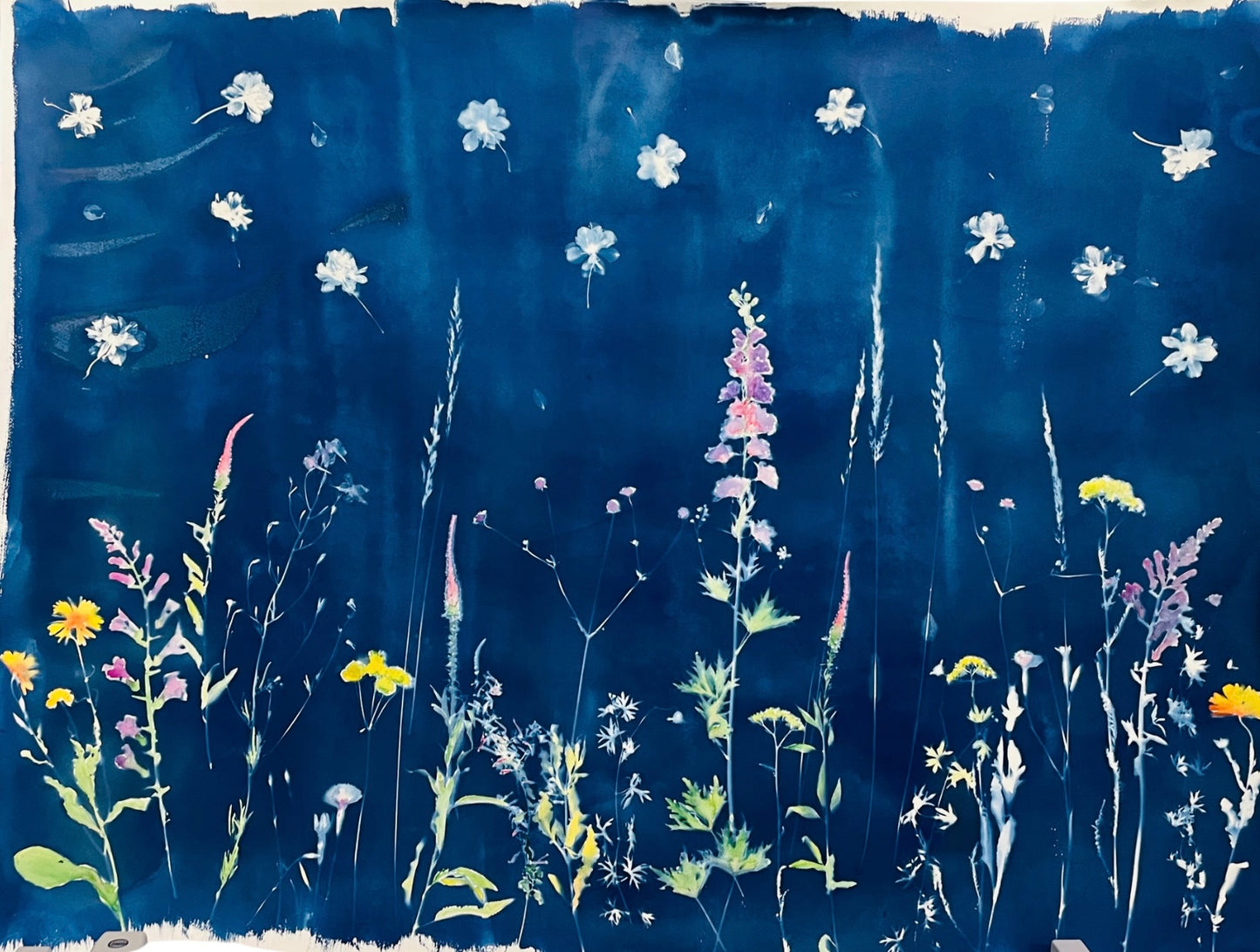 Secret Garden