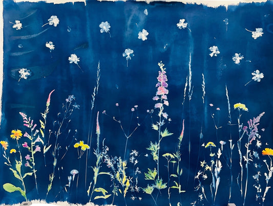 Secret Garden