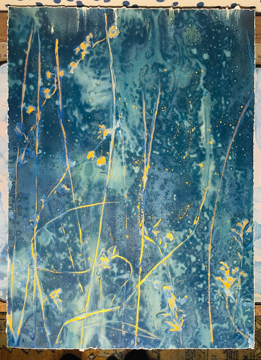 Framed mixed media cyanotype botanical. Wendy Mitchell Art, Salida CO