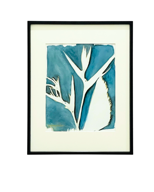Framed mixed media cyanotype botanical. Wendy Mitchell Art, Salida CO