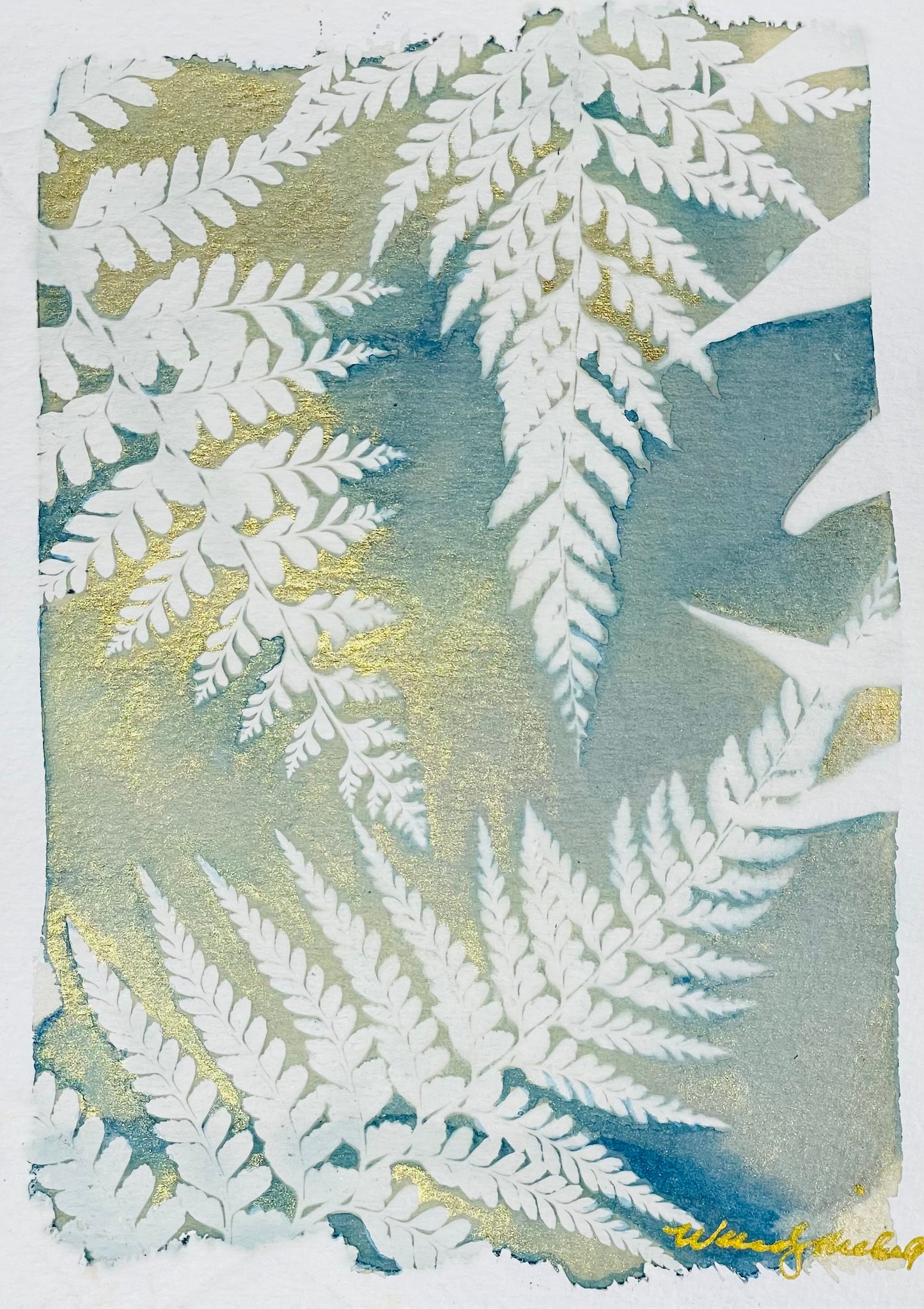 Framed mixed media cyanotype botanical hand embellished giclee. Wendy Mitchell Art, Salida CO