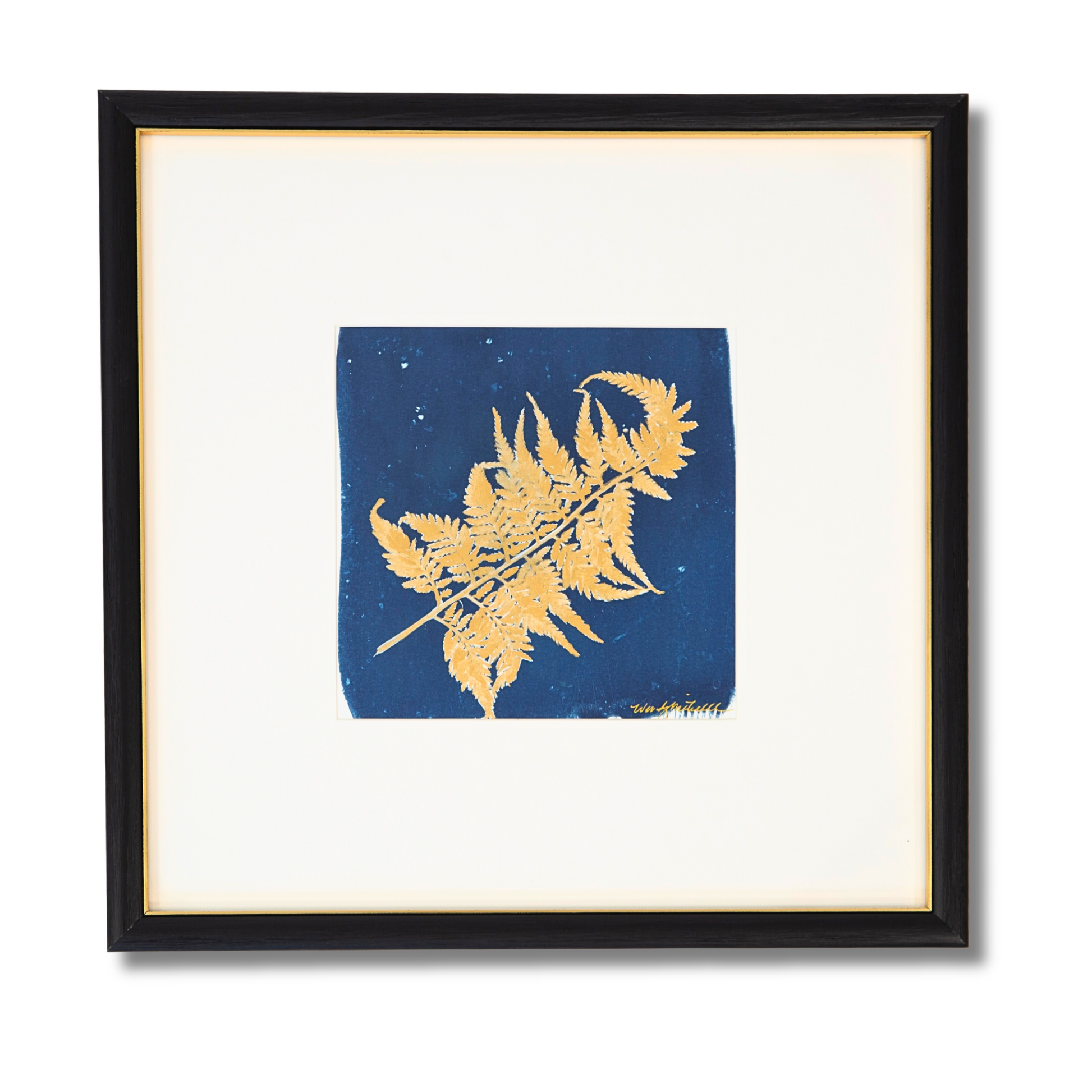 Ghost Fern - Framed