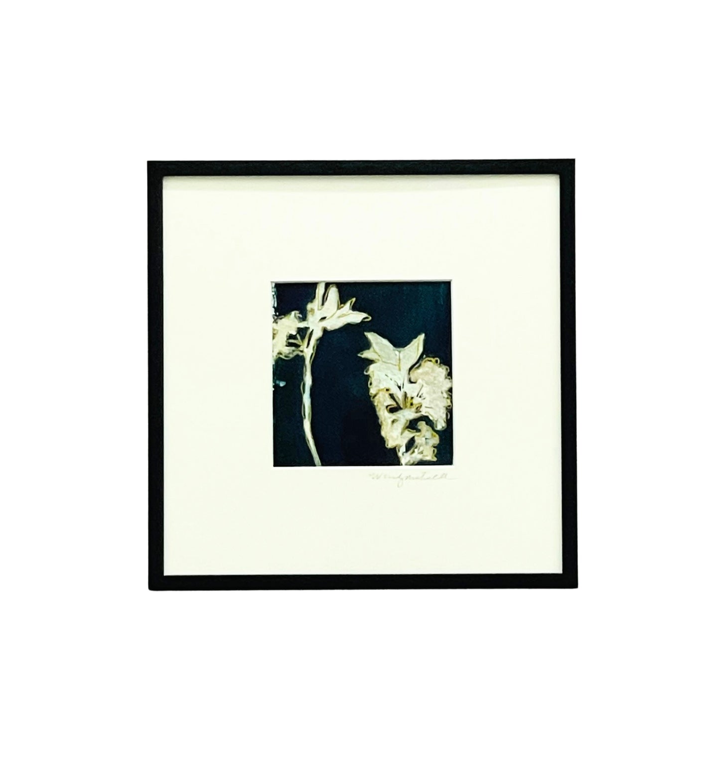 Framed mixed media cyanotype botanical. Wendy Mitchell Art, Salida CO