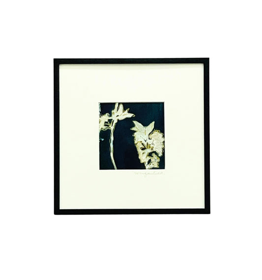 Framed mixed media cyanotype botanical. Wendy Mitchell Art, Salida CO