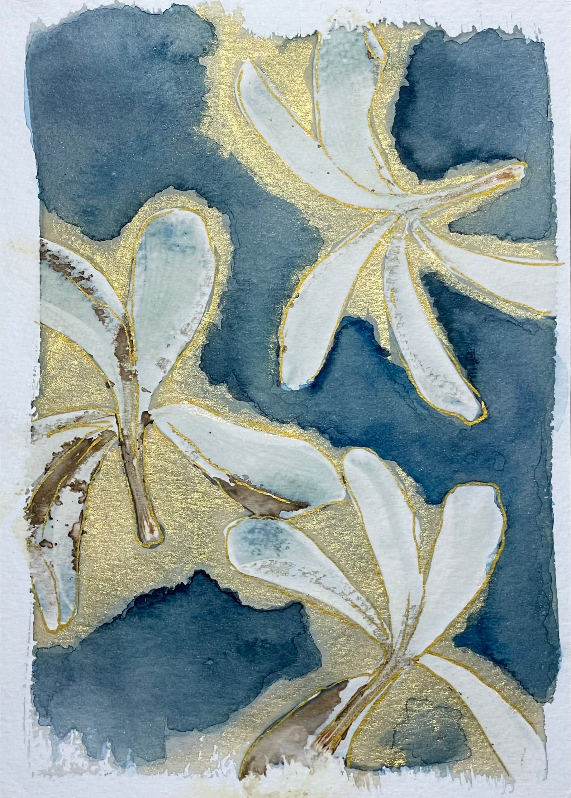 Framed mixed media cyanotype botanical hand embellished giclee. Wendy Mitchell Art, Salida CO