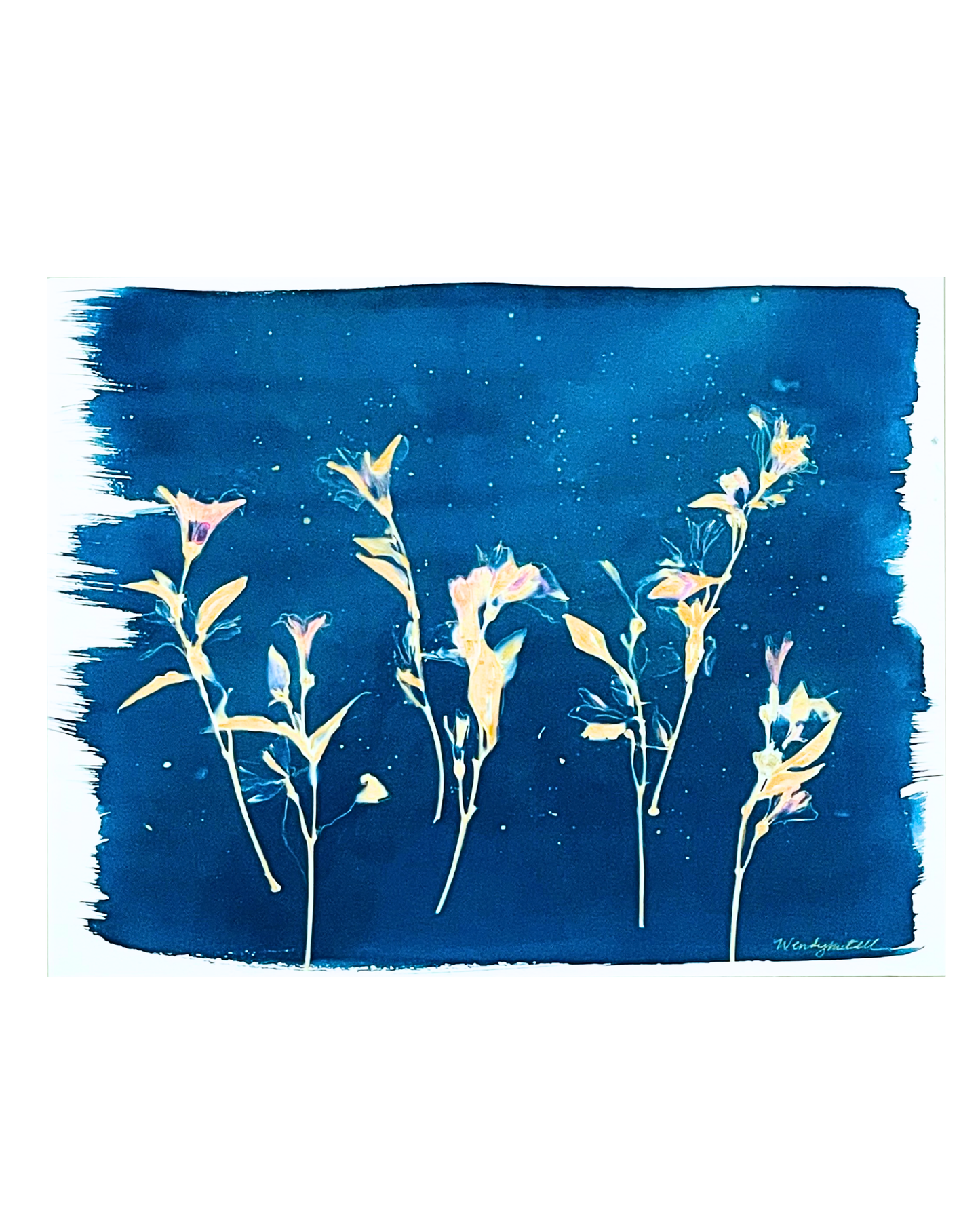 Where Wildflowers Dream