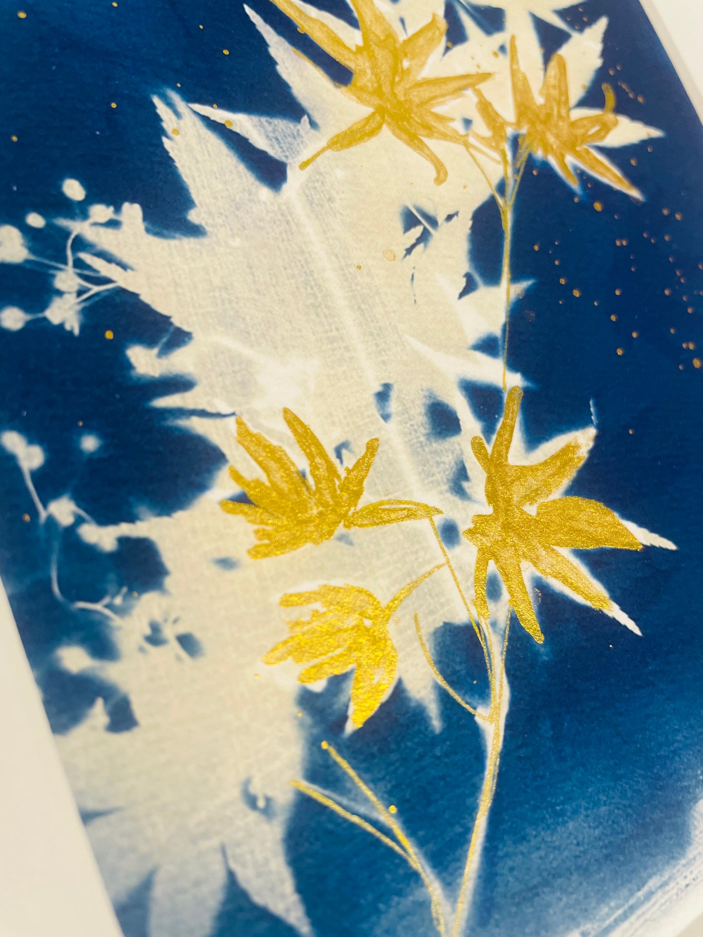 Double Exposed Japanese Maple Giclée