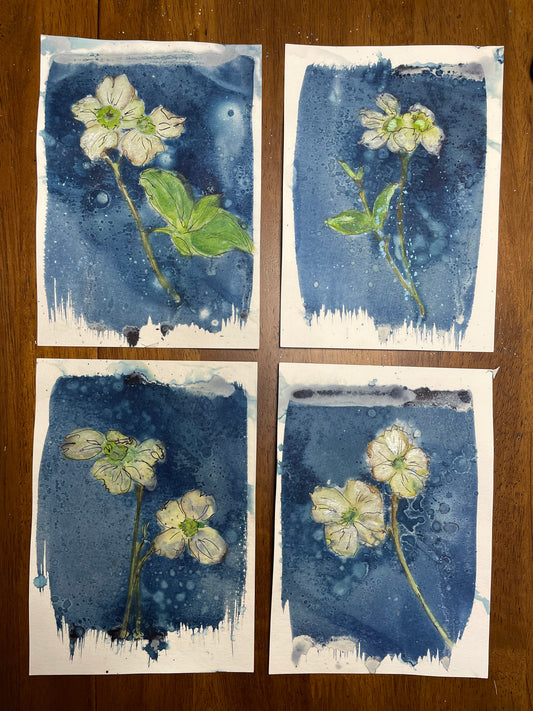 Dogwoods Notecards