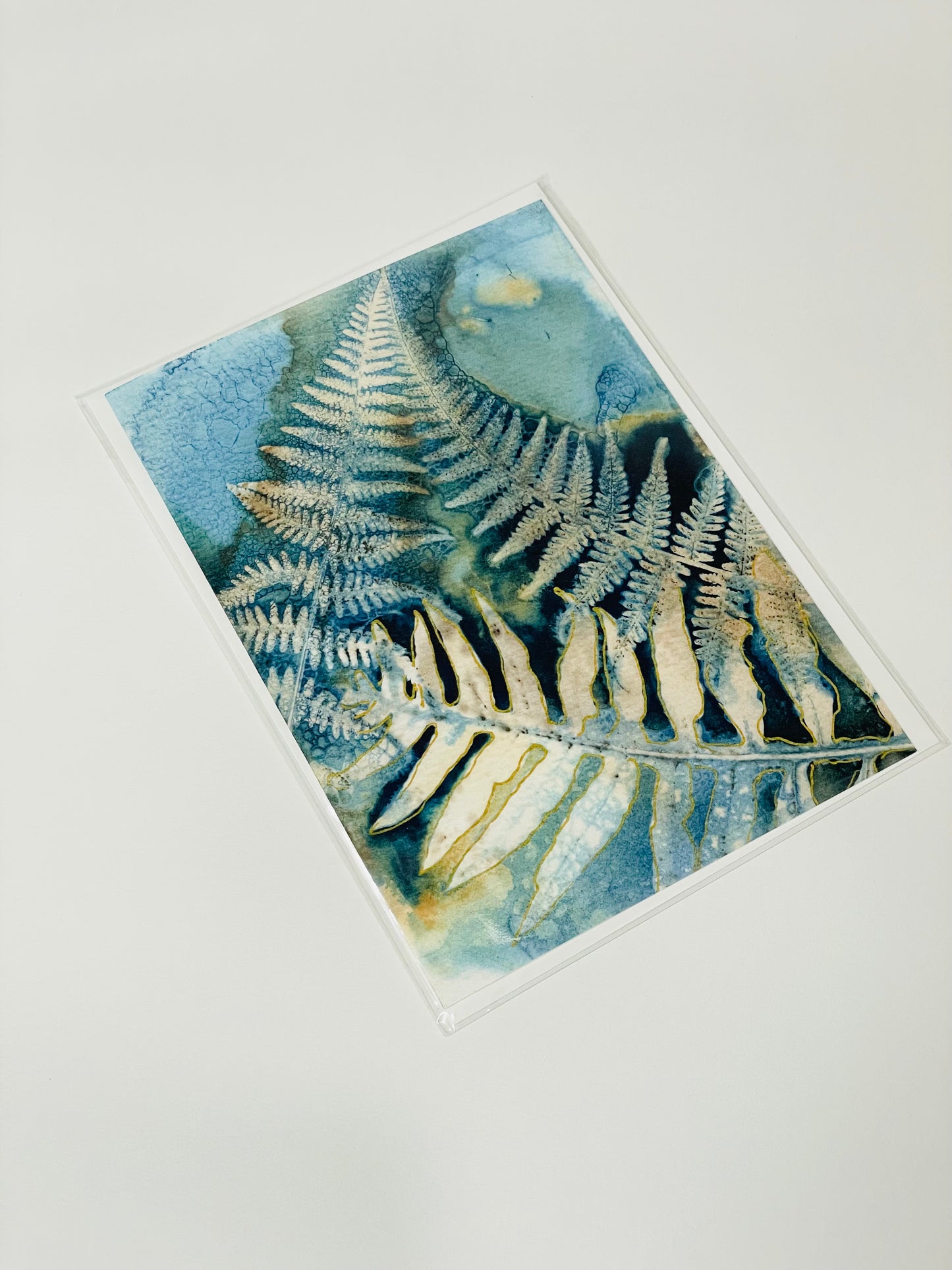 Trio of Ferns Art Card