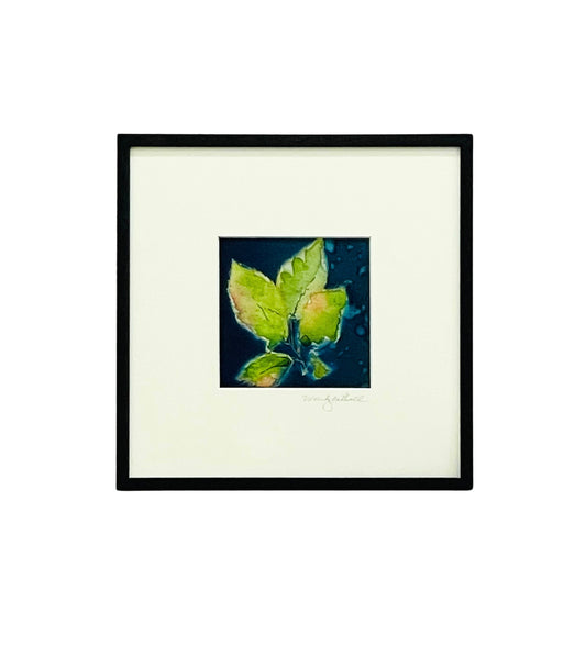 Framed mixed media cyanotype botanical. Wendy Mitchell Art, Salida CO