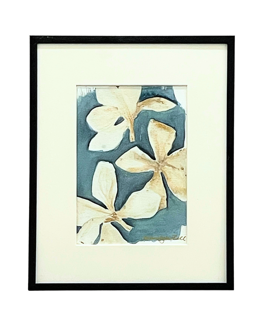 Mornings on the Lanai