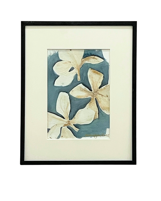 Framed mixed media cyanotype botanical. Wendy Mitchell Art, Salida CO