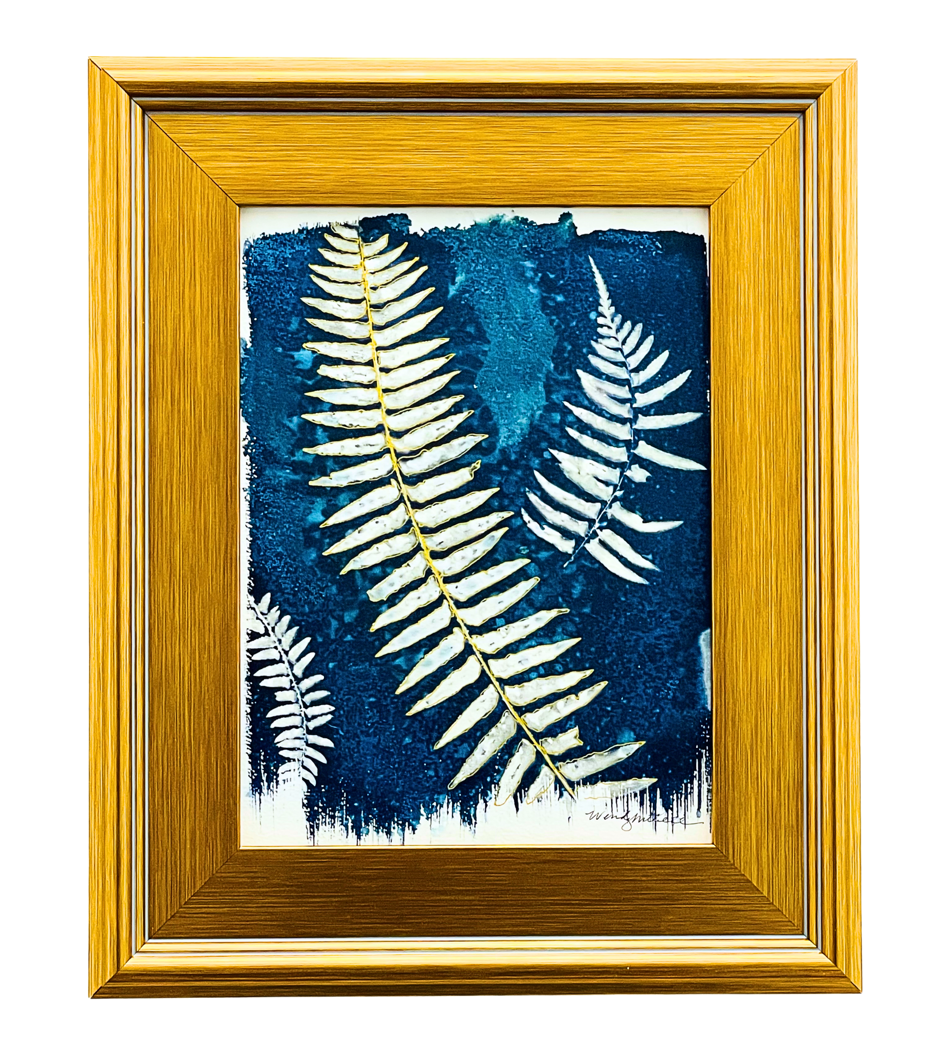 North Bend Ferns - Framed