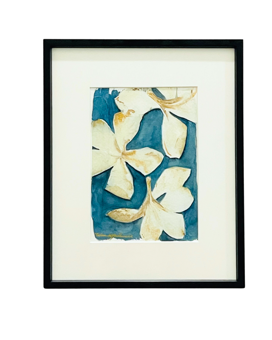 Framed mixed media cyanotype botanical. Wendy Mitchell Art, Salida CO