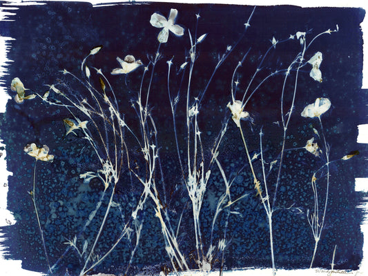 Field of poppies print