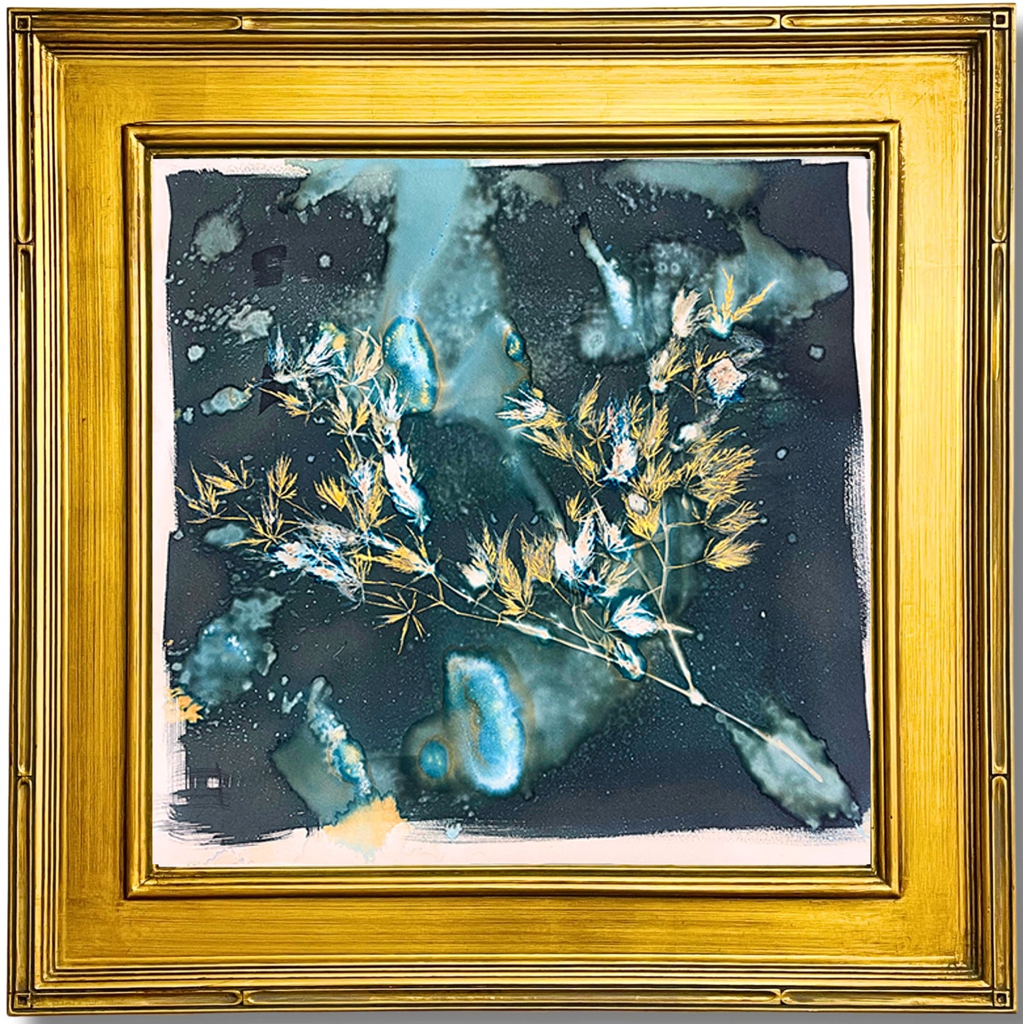 Where My Roots Began