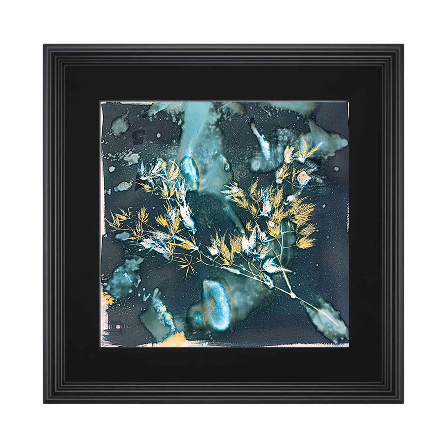 Where My Roots Began