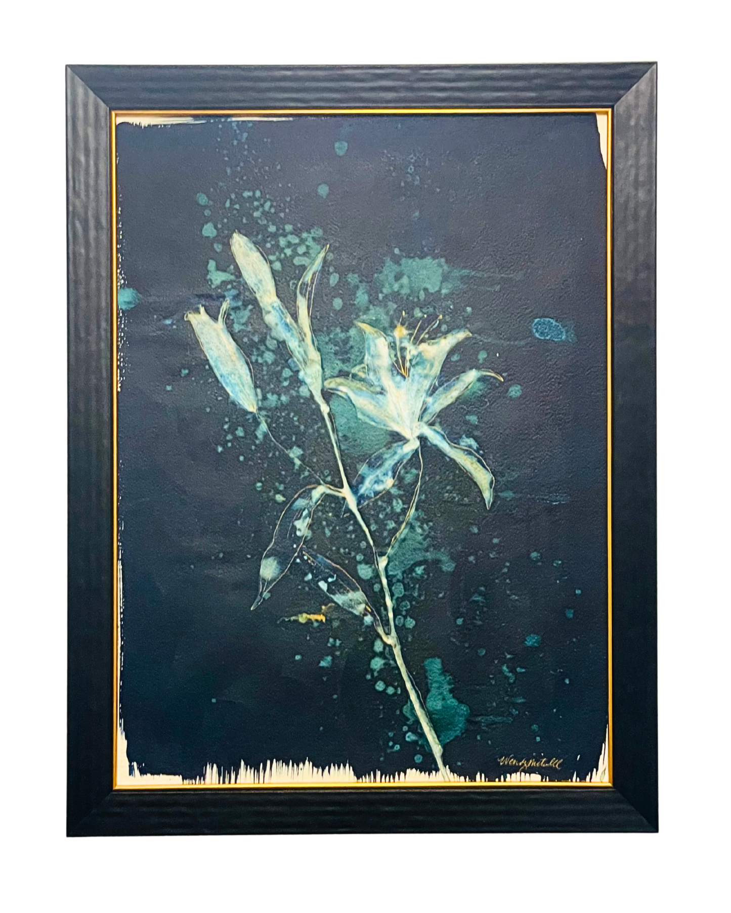 Stargazer