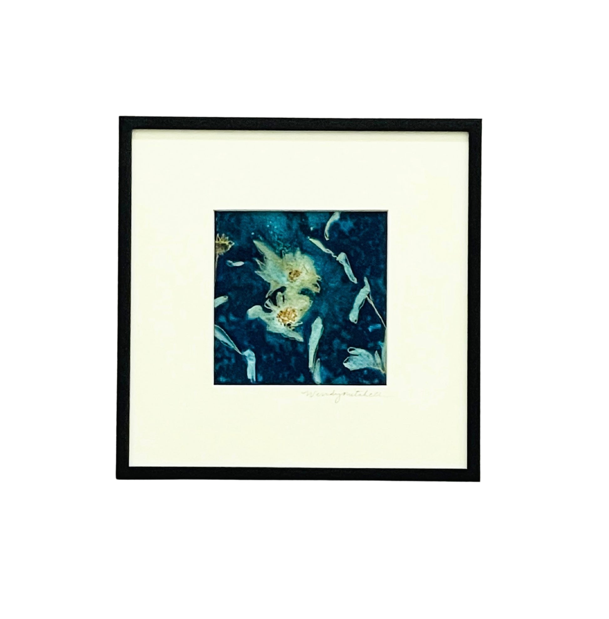 Framed mixed media cyanotype botanical. Wendy Mitchell Art, Salida CO