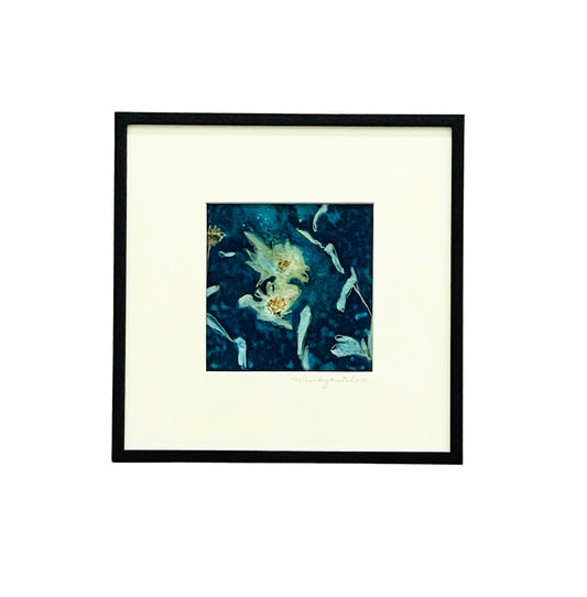 Framed mixed media cyanotype botanical. Wendy Mitchell Art, Salida CO