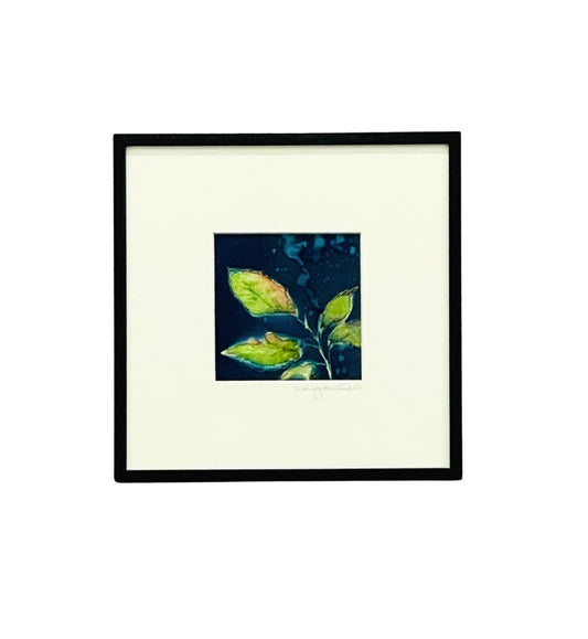 Framed mixed media cyanotype botanical. Wendy Mitchell Art, Salida CO