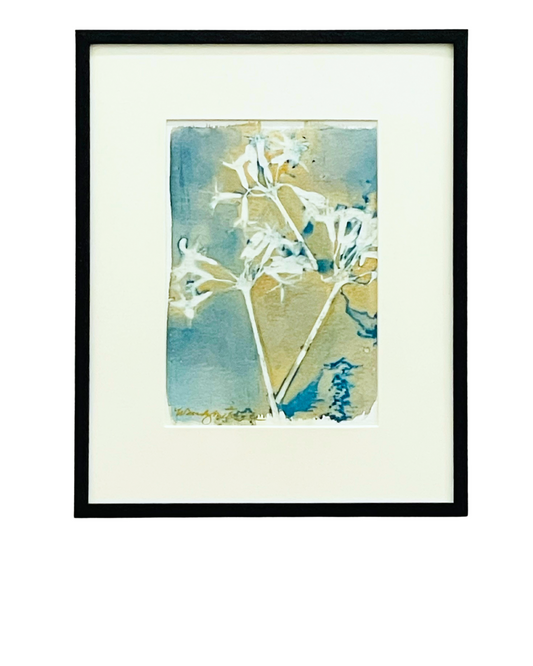 Framed mixed media cyanotype botanical. Wendy Mitchell Art, Salida CO