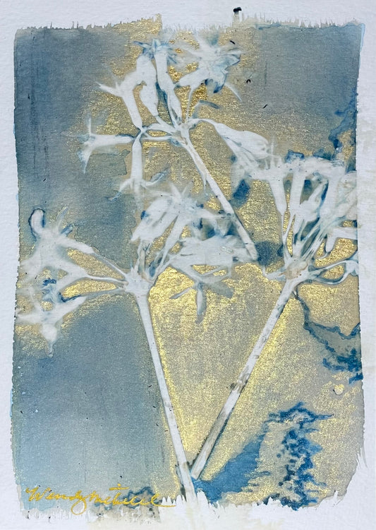 Framed mixed media cyanotype botanical hand embellished giclee. Wendy Mitchell Art, Salida CO
