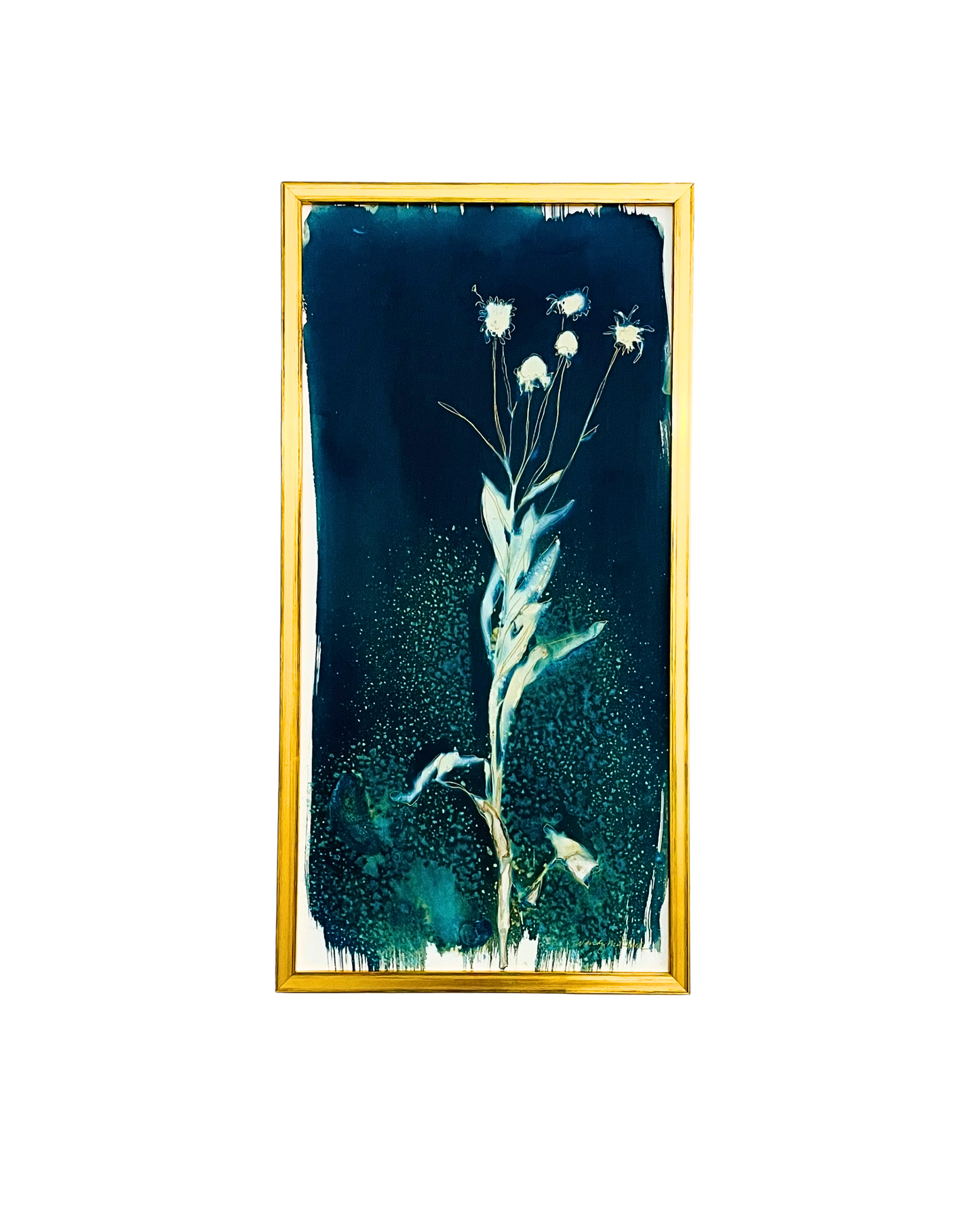 Framed mixed media cyanotype botanical. Wendy Mitchell Art, Salida CO
