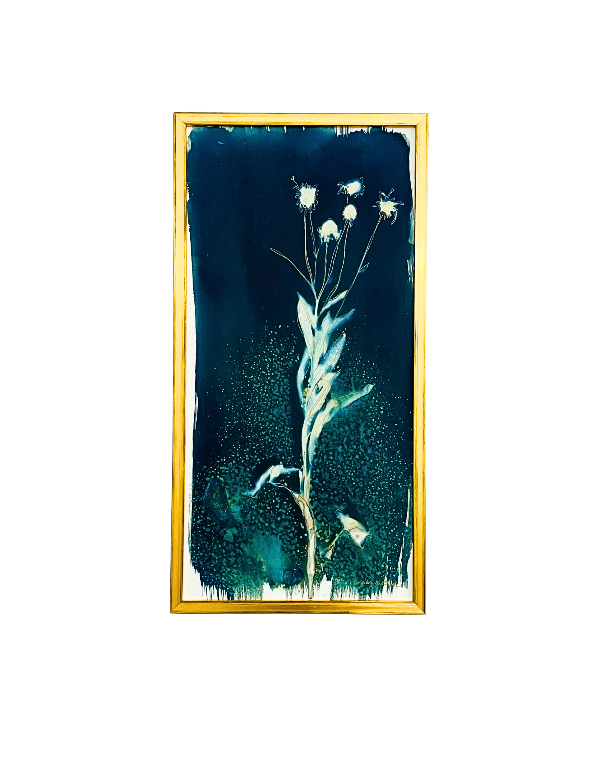 Framed mixed media cyanotype botanical. Wendy Mitchell Art, Salida CO