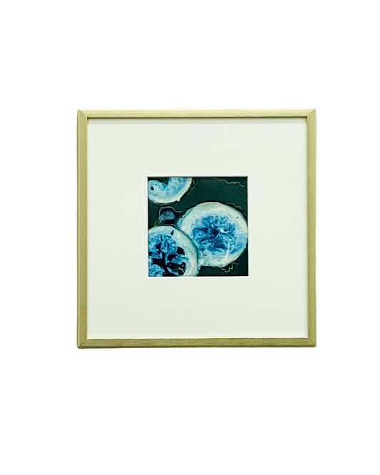 Framed mixed media cyanotype botanical. Wendy Mitchell Art, Salida CO