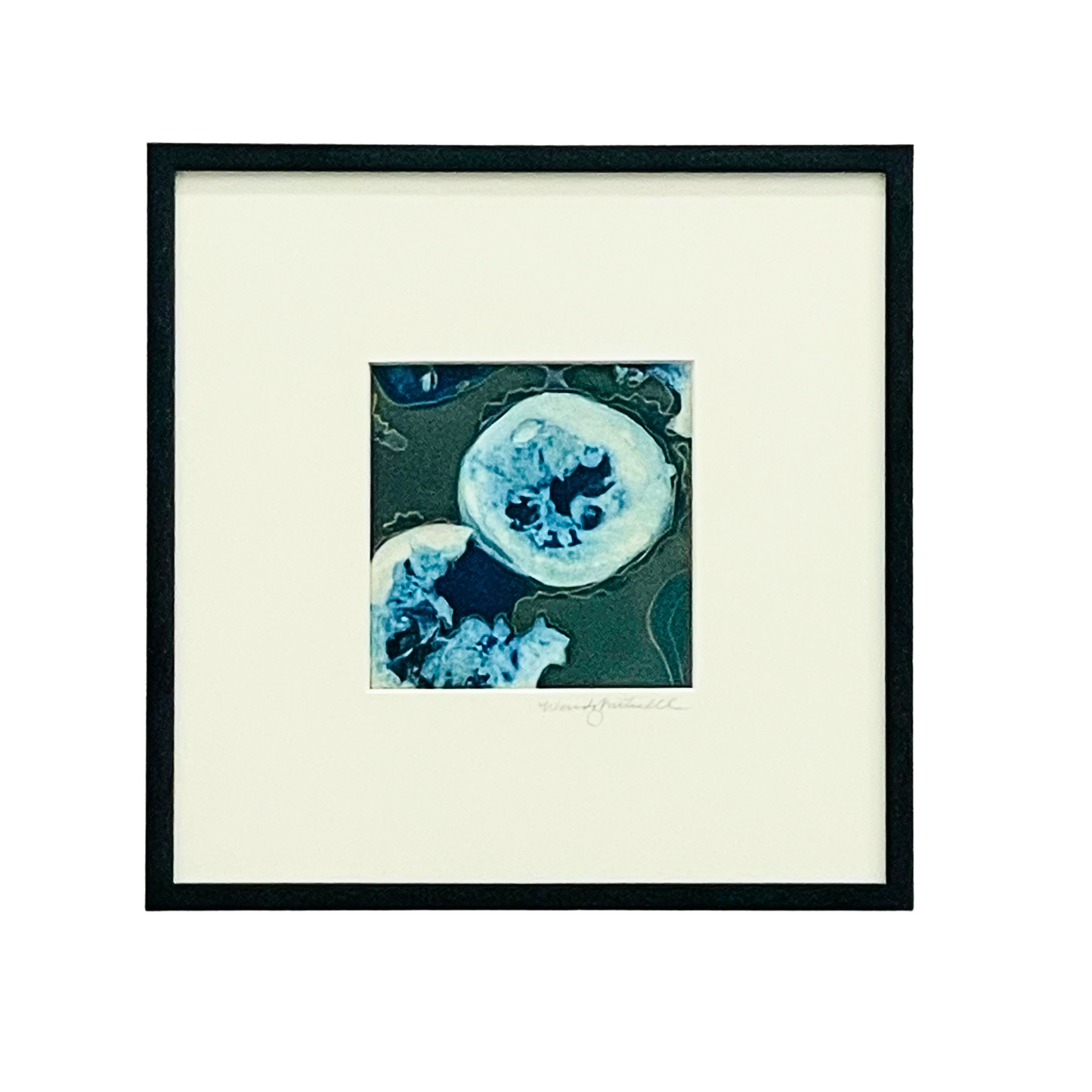 Original cynotype with gold pen
Wendy Mitchell Art
Salida, CO