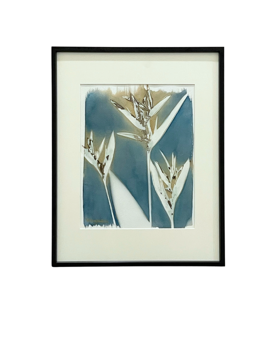 Framed mixed media cyanotype botanical. Wendy Mitchell Art, Salida CO