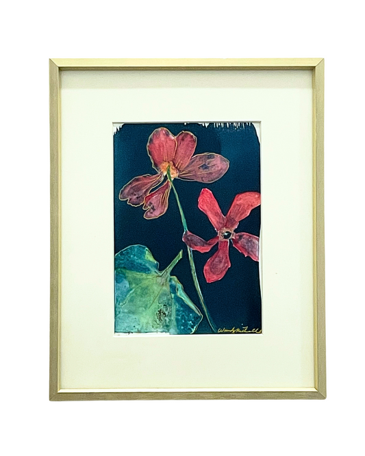 Framed mixed media cyanotype botanical. Wendy Mitchell Art, Salida CO