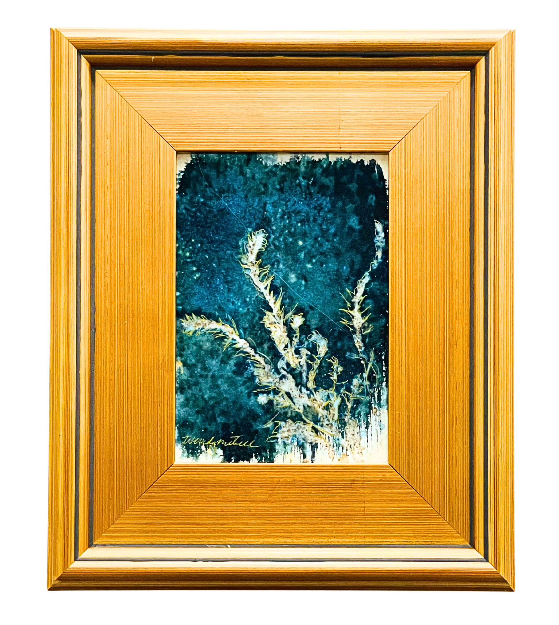 Where the Sage Gathers