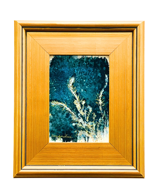 Where the Sage Gathers