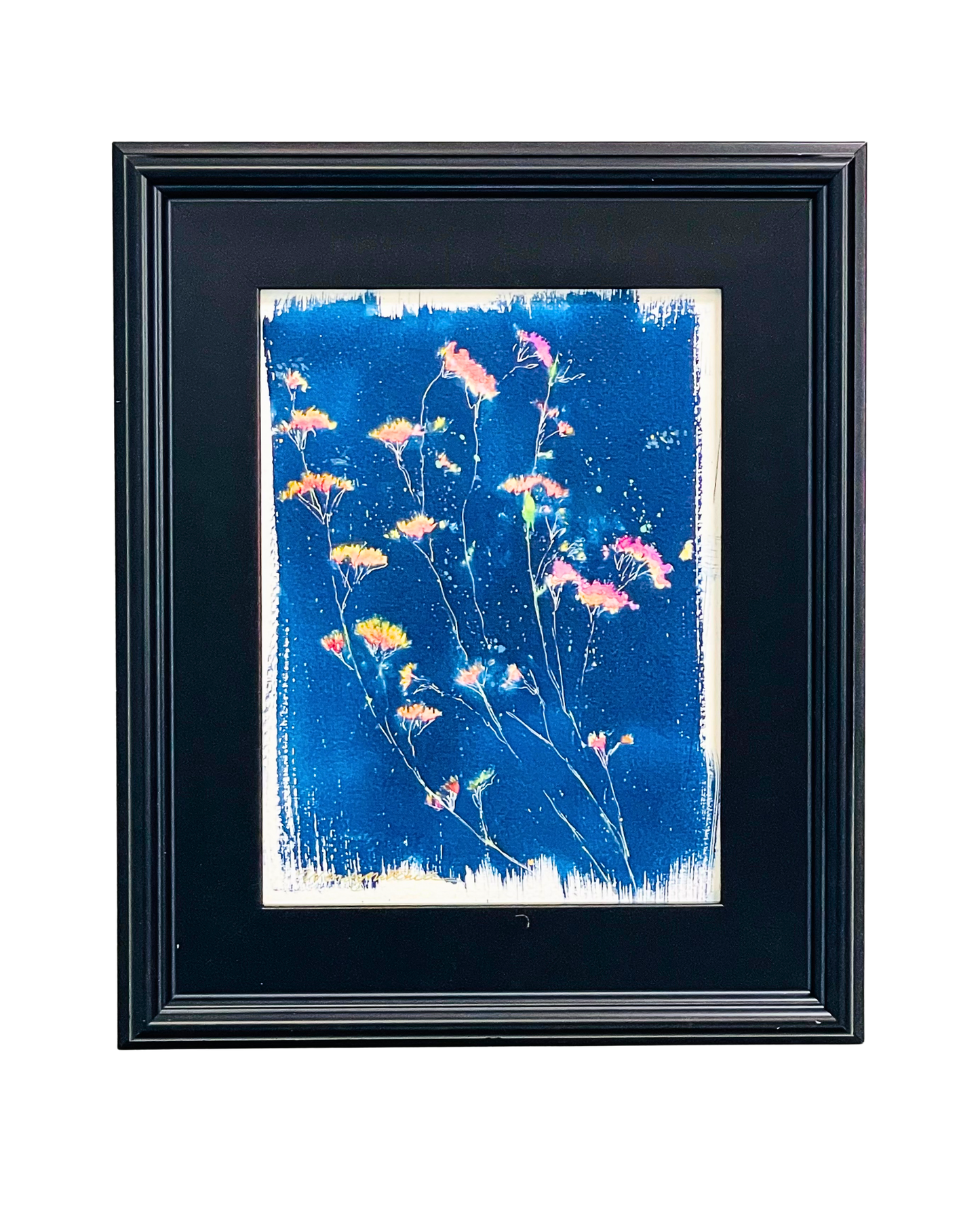 Wildflower Constellations