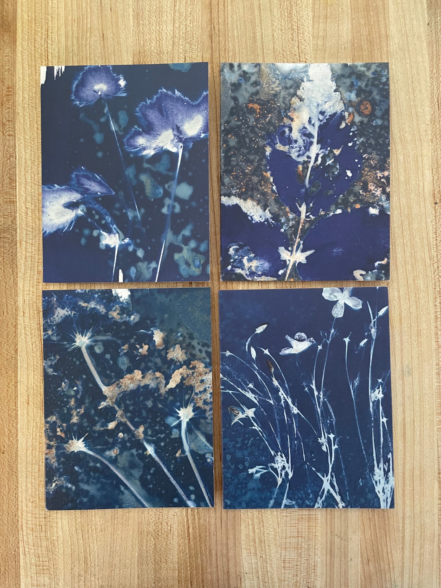 Cyanotype Florals & Leaves